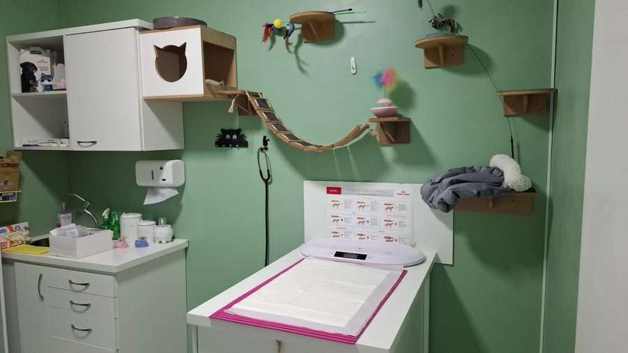 Consultório com estrutura de enriquecimento para gatos