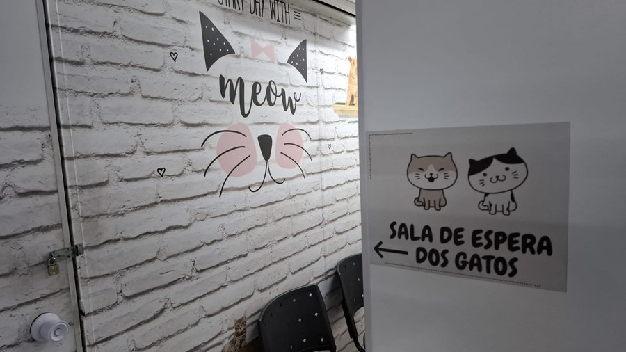 Sala de espera exclusiva para gatos